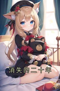 消失的二十年