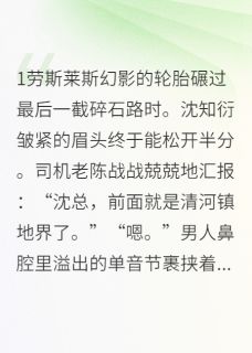 总裁，你家苞米被我薅了