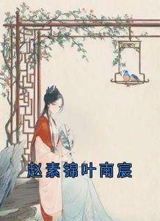 赵素锦叶南宸
