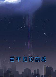 看不见的窃贼