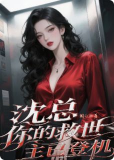 沈总，你的救世主已登机