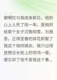 谢明忧与我成亲那日