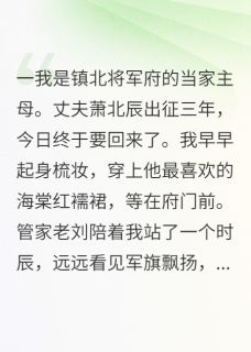 将军归来带回一个穿越女
