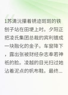 总裁的西瓜被我刨了