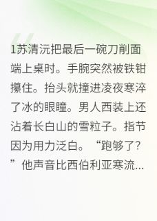 总裁的刀削面有点甜