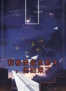 我被烧成灰那天，他回来了