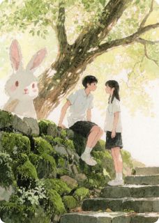 青苔石阶，万物生长