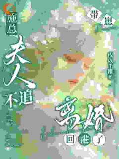 施总，夫人不追！带崽离婚回港了