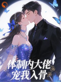 体制内大佬，宠我入骨