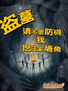 盗墓：请不要妨碍我挖汪家墙角