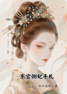 东宫侧妃手札
