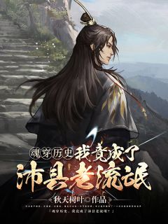 魂穿历史，我竟成了沛县老流氓？