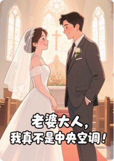 老婆大人，我真不是中央空调！