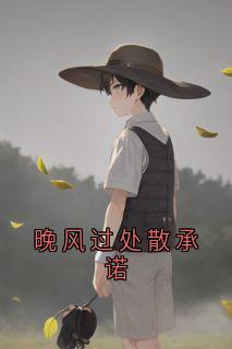 晚风过处散承诺