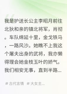 在下镇北将军，公主，别和亲了